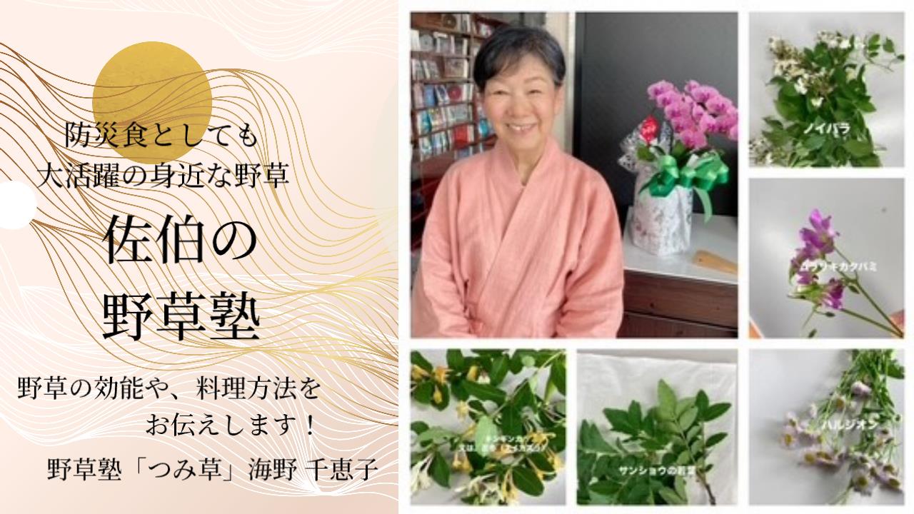 佐伯の野草塾